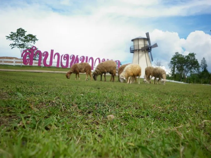 Hug U Sheep Farm