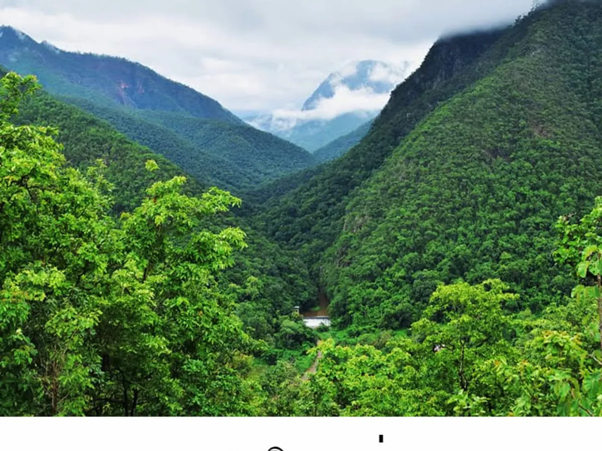 Pha Bong Viewpoint