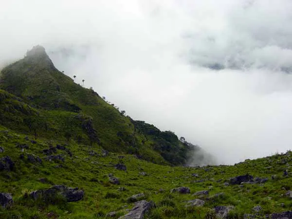 Doi Phu Wae