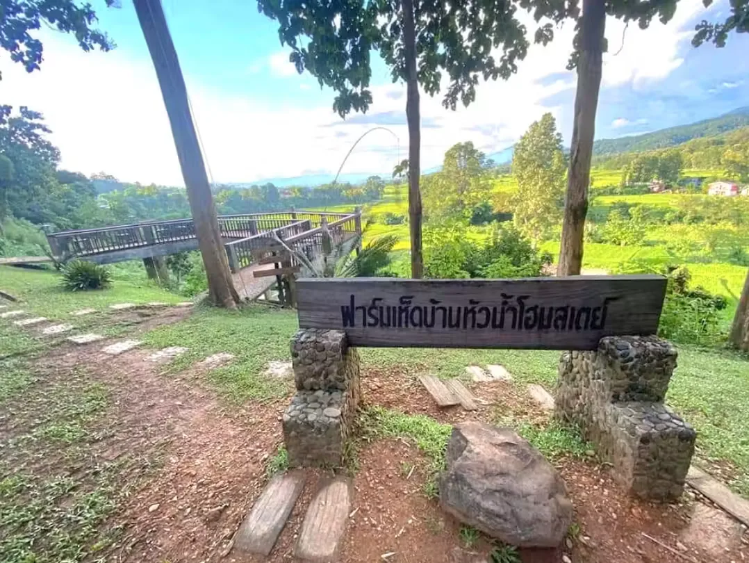 Huanam Mushroom Farm