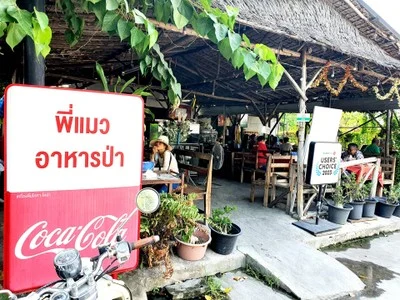 Phi Maeo Forest Food Talat Thai