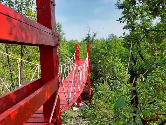 Bang Ya Phraek Suspension Bridge
