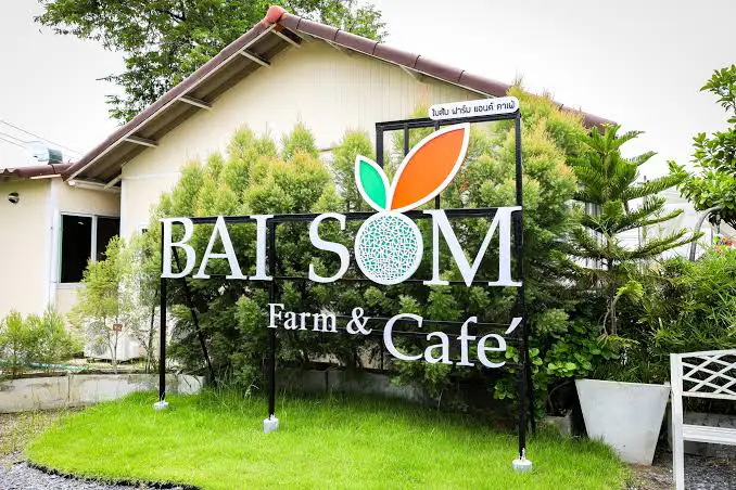 Sasipim Melon Farm